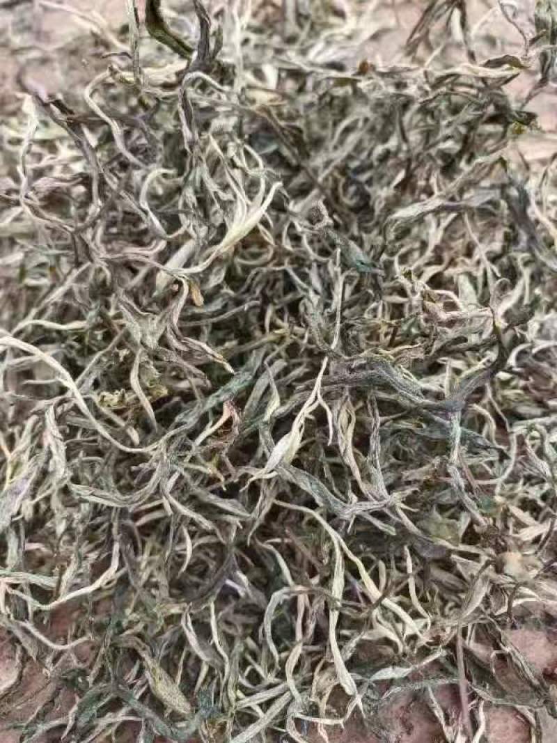 老树茶