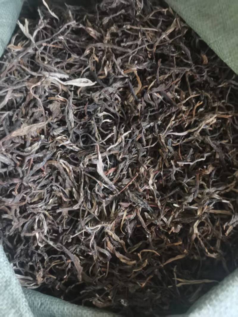 老树茶