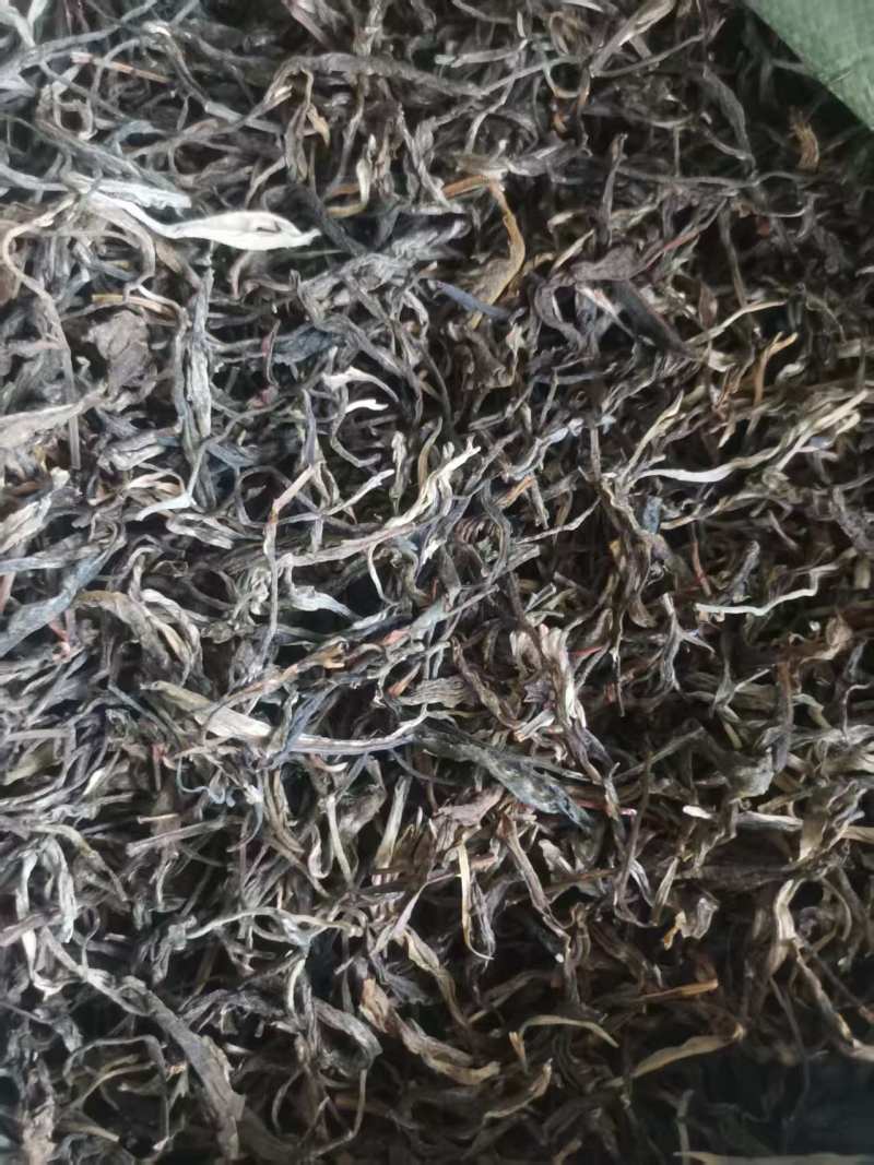 老树茶