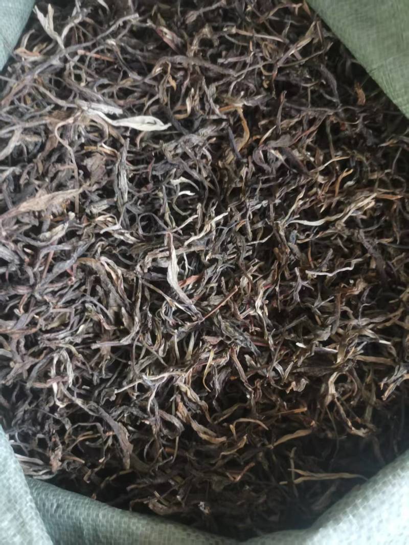 老树茶