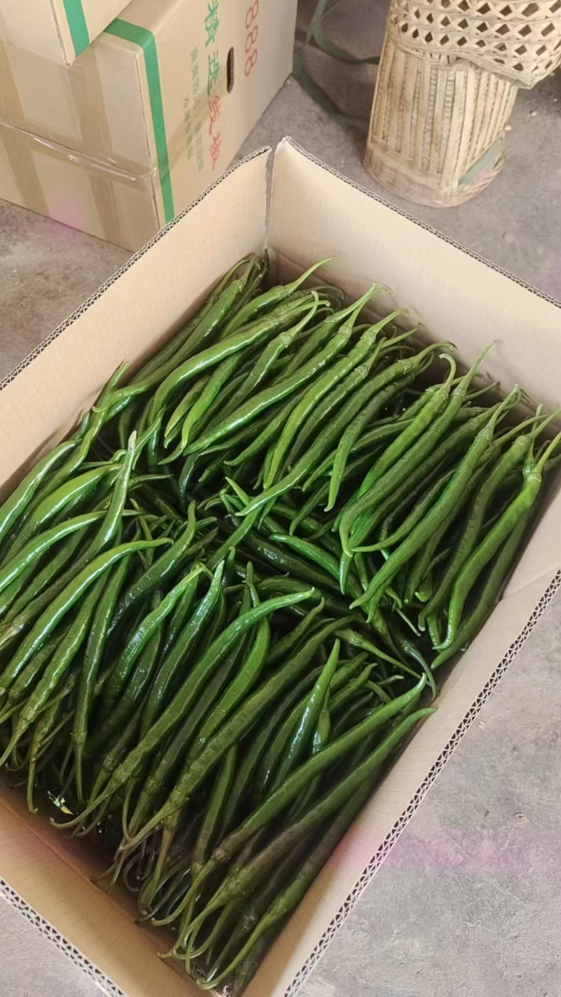 鲜辣椒