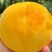 黄金蜜桃精品量大全国发货