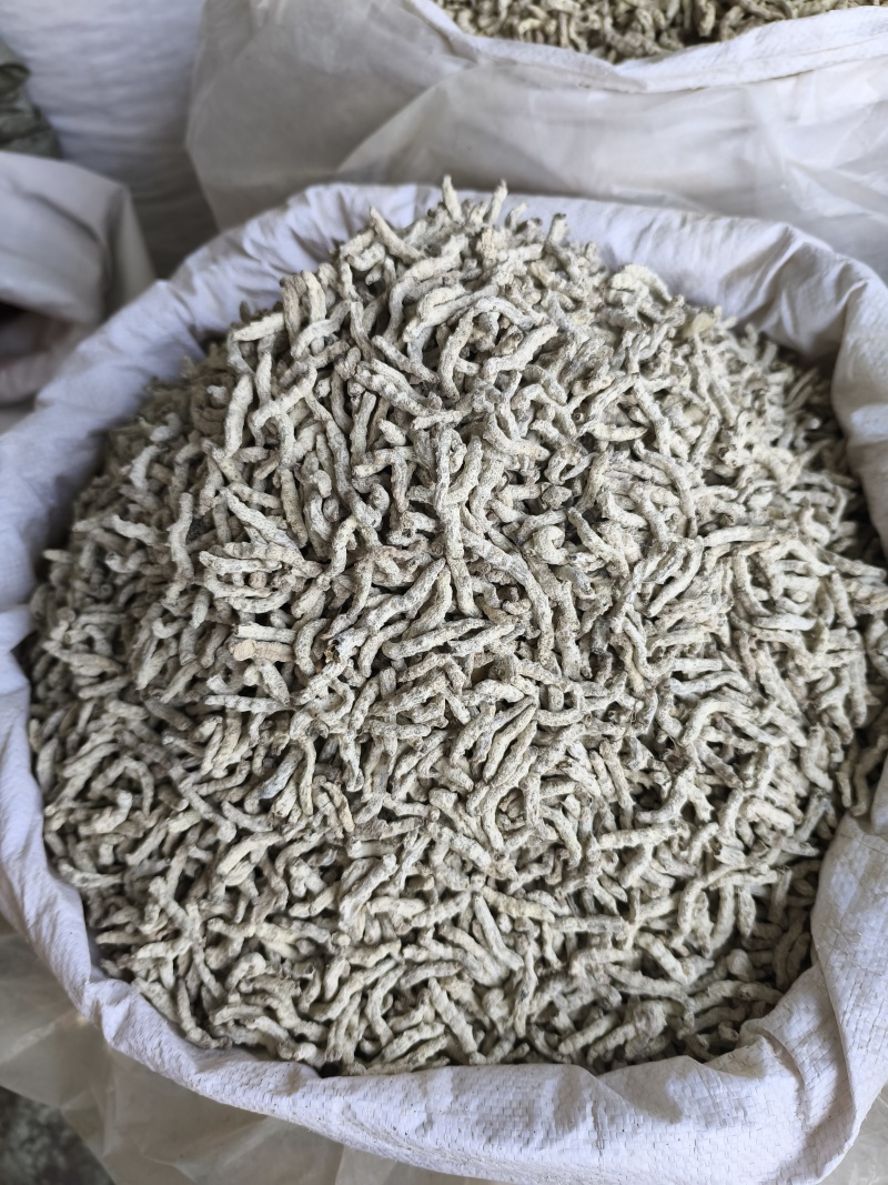 僵蚕白僵蚕热卖新货各种各种规格品种齐全现货