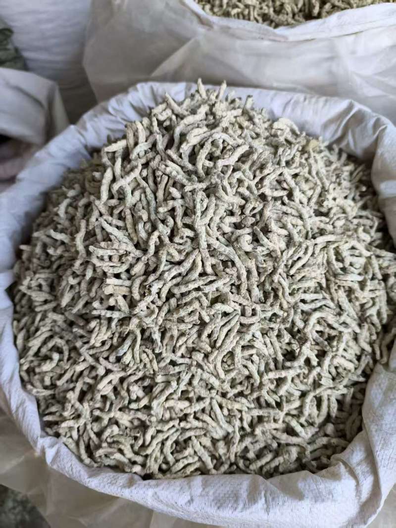 僵蚕白僵蚕热卖新货各种各种规格品种齐全现货