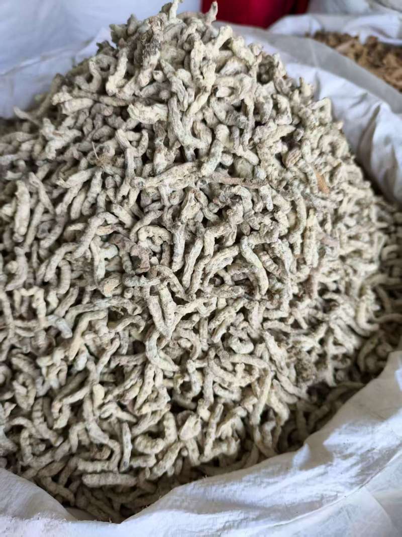 僵蚕白僵蚕热卖新货各种各种规格品种齐全现货
