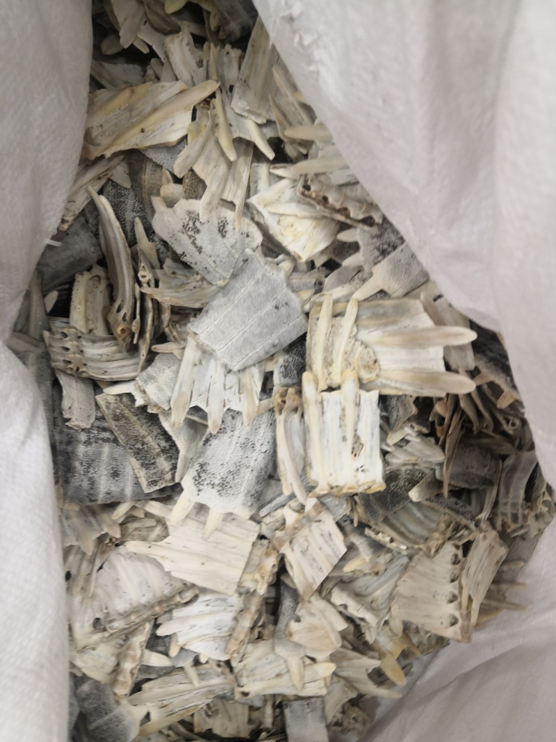 无硫鳖甲鳖盖各种药材批发零售一手货源