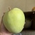 澳芒一件代发