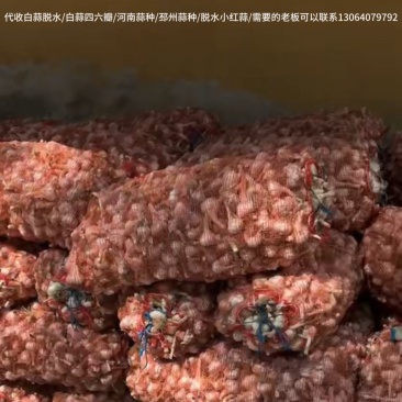 专业代收寻找客户