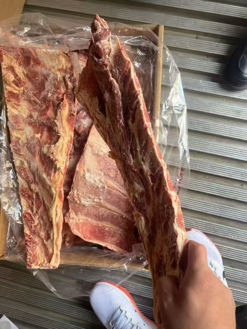 牛羽骨