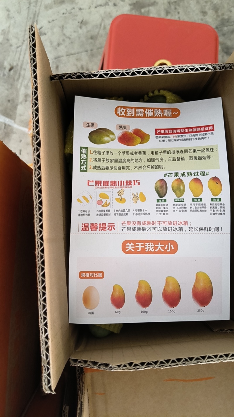 贵妃芒果一件代发，产地直销，批发代收