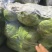 供商超，学校，电商