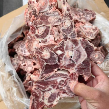 满肉羊蝎子