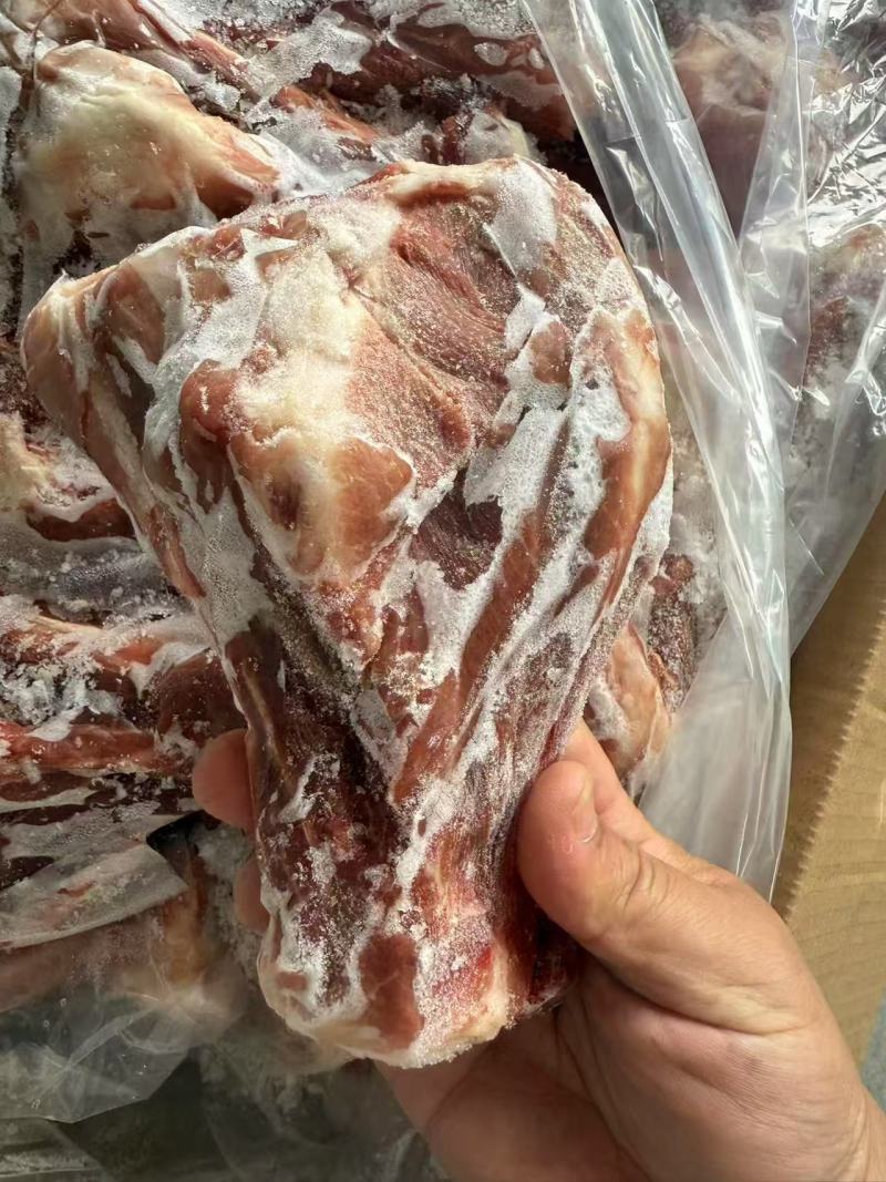猪扇骨