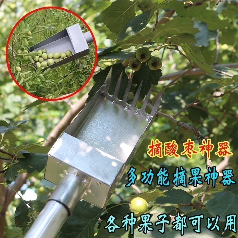 新款酸枣猛钢摘果器采果山枣柏树小枣工具摘枣采摘
