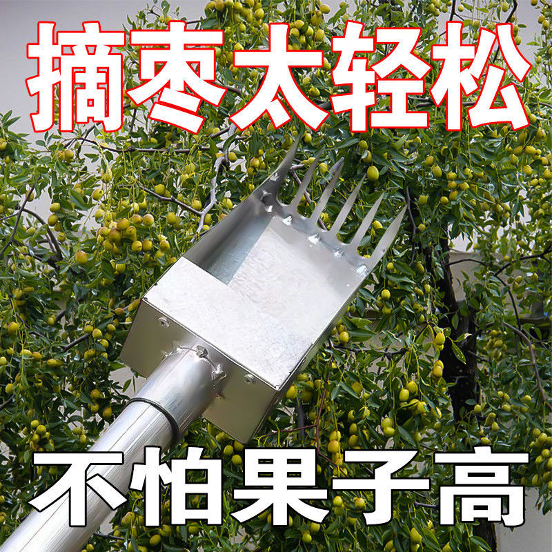 新款酸枣猛钢摘果器采果山枣柏树小枣工具摘枣采摘
