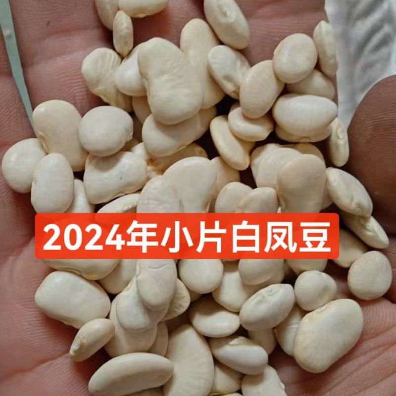 白凤豆
