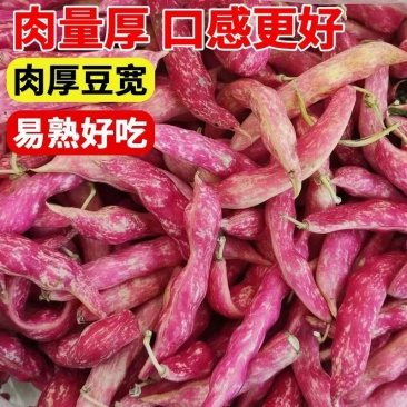 花扁豆，花架豆【四季豆-架豆】支持视频看货，可发往全国市场