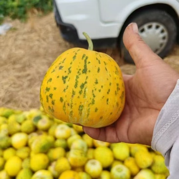 花密