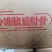 后肘骨
