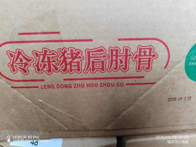 后肘骨