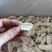 【包邮】批发怀山药片焦作无硫怀山药片量大从优