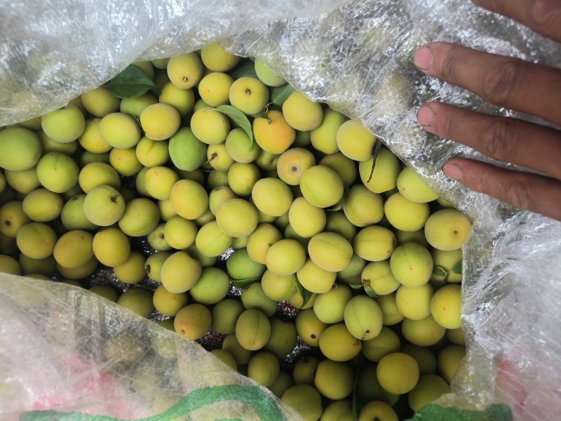 **【达州道地乌梅】药食同源无硫熏古法炭焙**