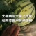 批发麒麟西瓜产地湖南保质量足斤两诚信团队稳定发货