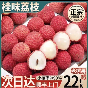 惠州桂味荔枝