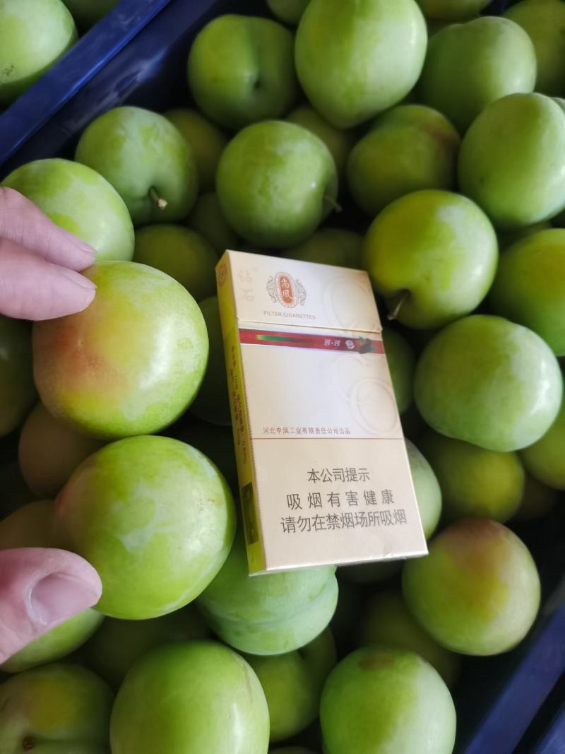 《雪花李子》河北辛集李子，脆甜可口，耐运输，货量大