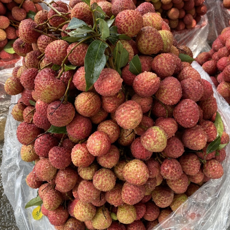 桂味荔枝妃子笑白蜡广东荔枝应季水果批发价（代收）