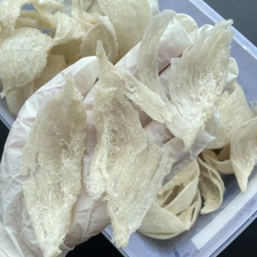 燕窝厂家直销