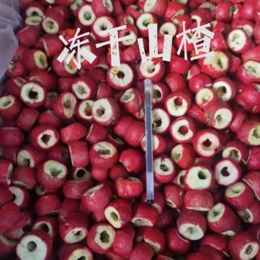 冻干山楂源头厂家！强烈！推荐！