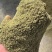 陕西省渭南市华州区秦塬花椒农户一手货源鲜椒上市