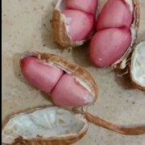 自贡五宝泥子花生