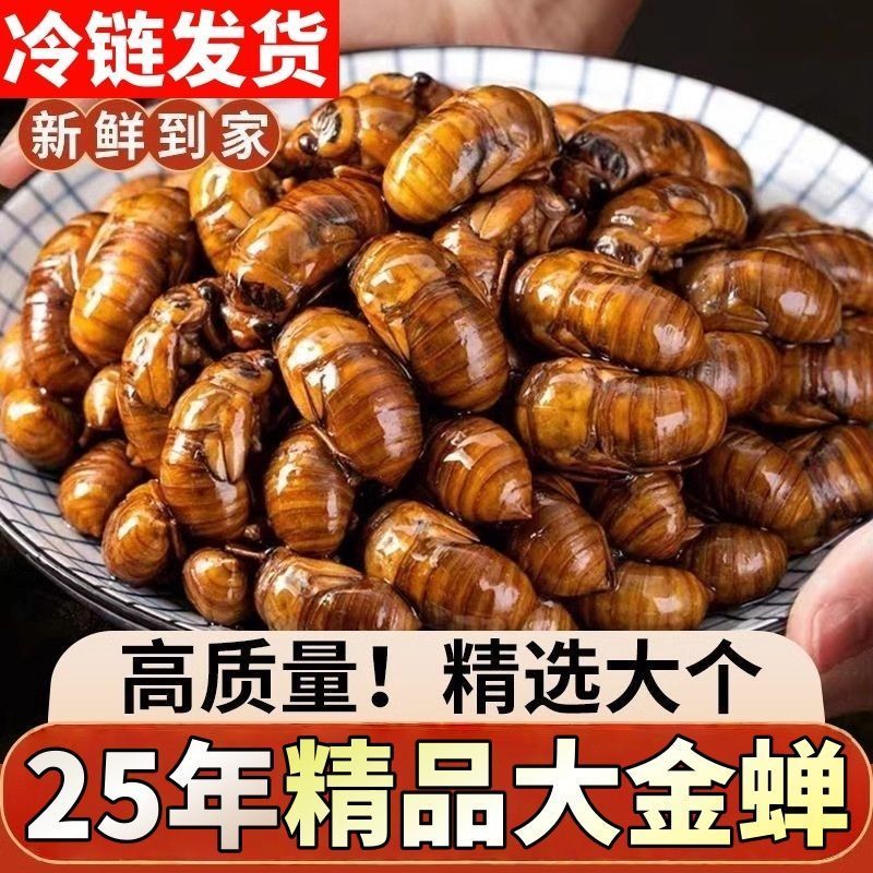金蝉一件代发对接抖音快手视频号多多日供3万单顺丰冷链
