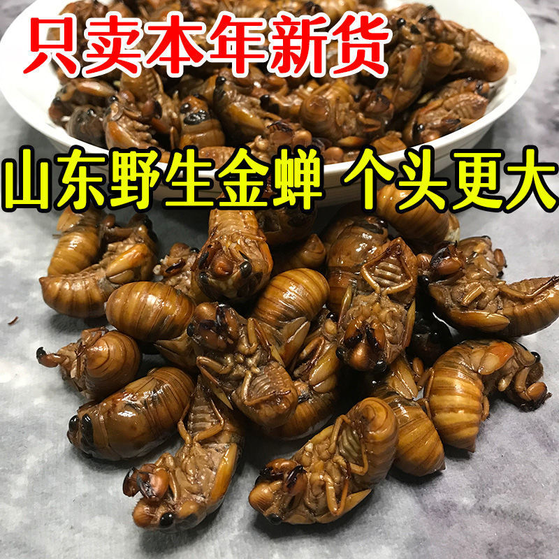 金蝉一件代发对接抖音快手视频号多多日供3万单顺丰冷链
