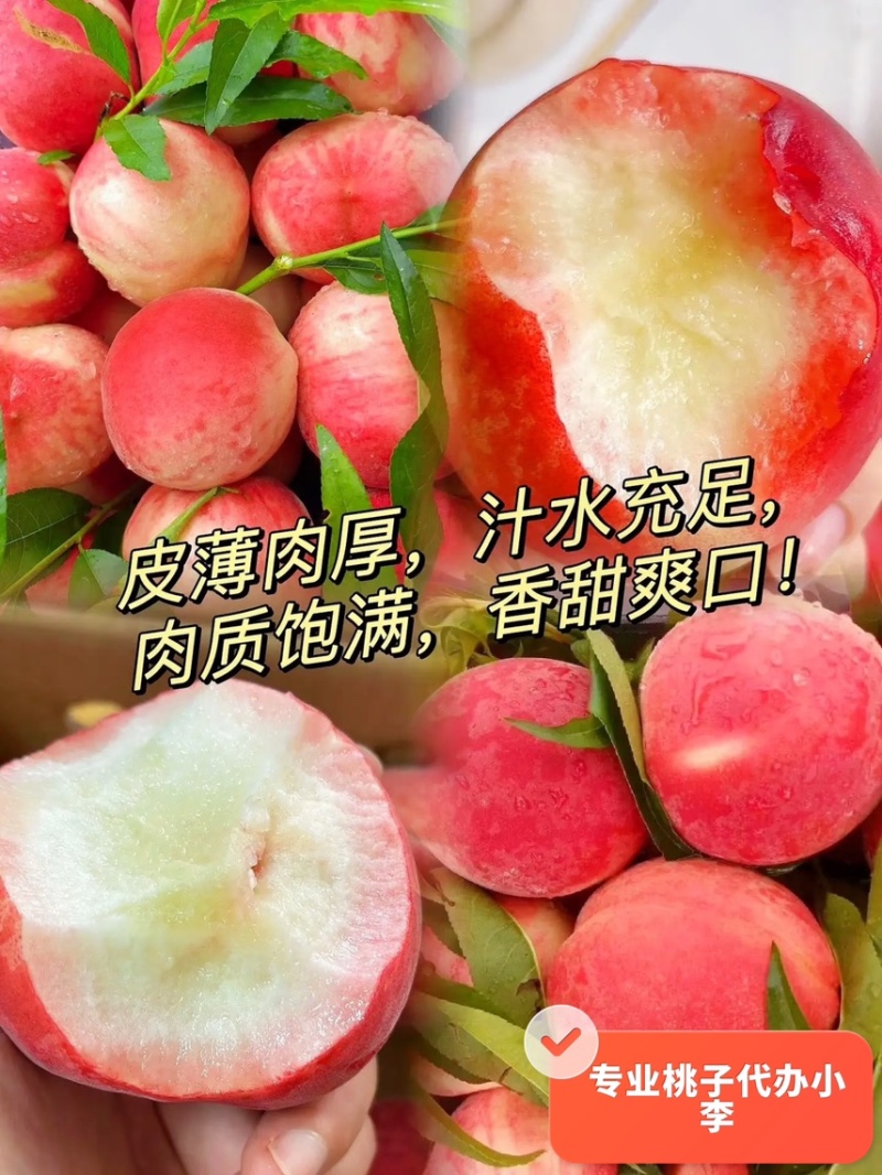 突围毛桃，产地一手货源，品质优，口感甜，量大价优