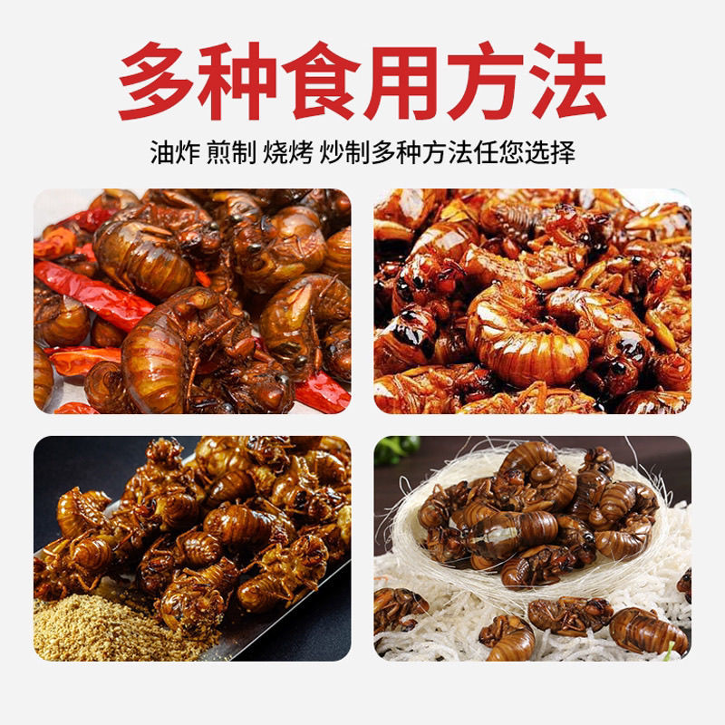 知了猴新鲜发货