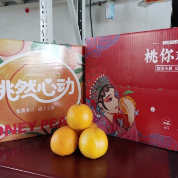 蒙阴黄油桃