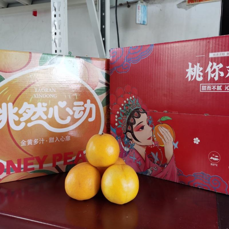 蒙阴黄油桃