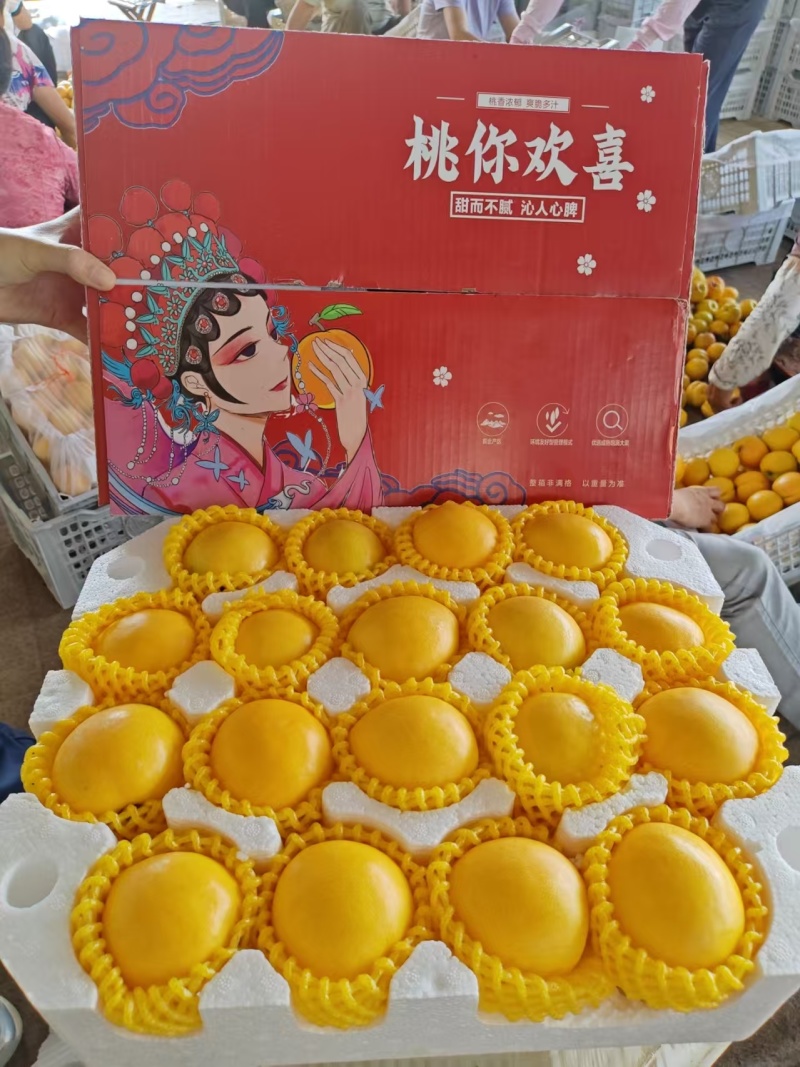 蒙阴黄油桃