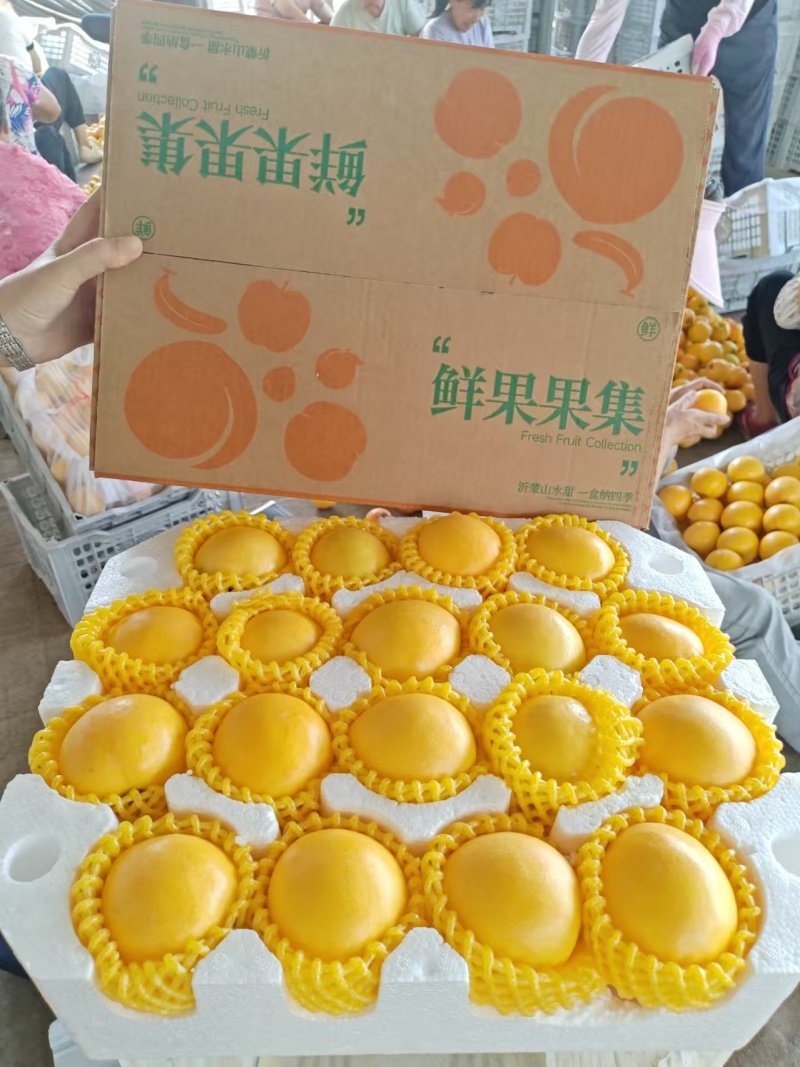 蒙阴黄油桃