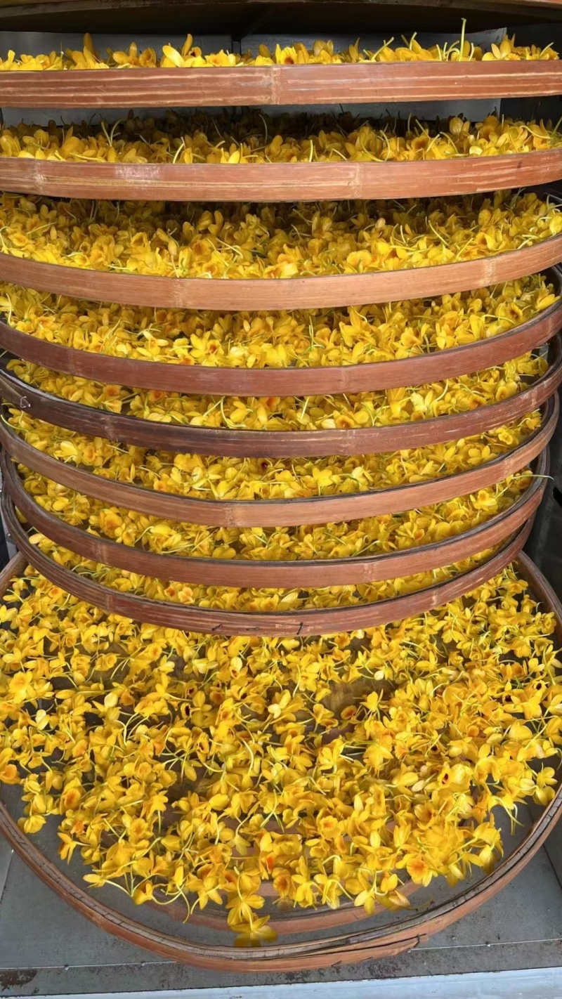 鼓槌石斛花云南干货500克起包邮量大从优