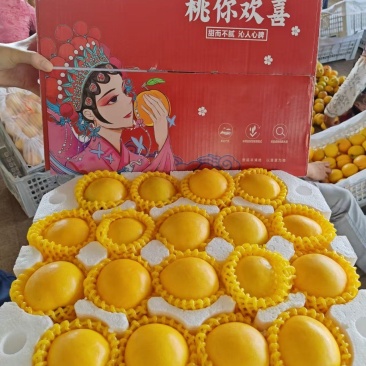 蒙阴黄油桃