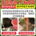 鱈鱼苗，渔场直发，淡水养殖，包成活率，送货上门，免费技术