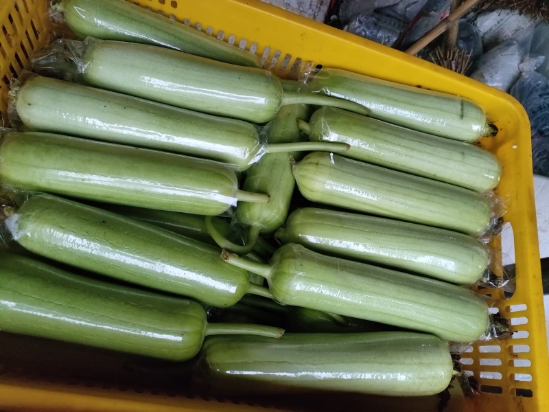 白玉丝瓜