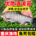 清波鱼苗重庆渔场直发包成活高免费提供技术送货上门