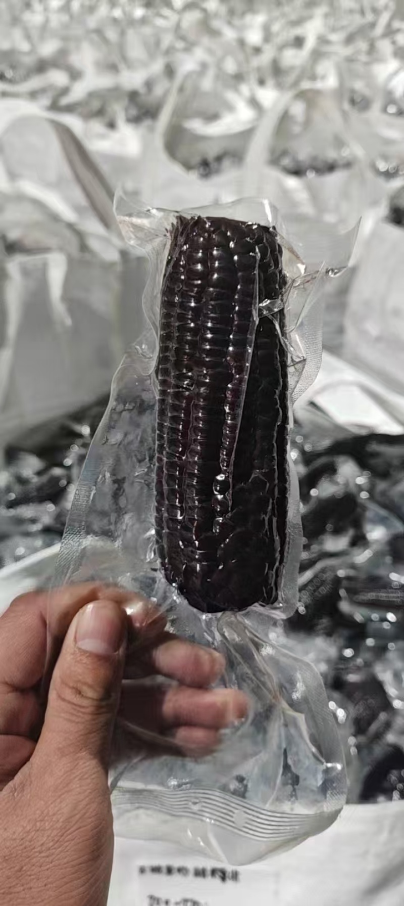 山东滨州黑甜糯，真空独立包装，特价处理，毛毛钱