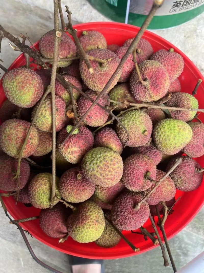 妃子笑荔枝自产自销精品果