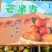 芒果杏新疆阿克苏产地直发